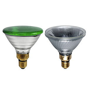 Persglas lampen PAR38